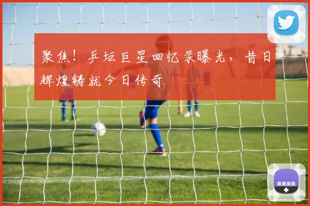聚焦!乒坛巨星回忆录曝光,昔日辉煌铸就今日传奇