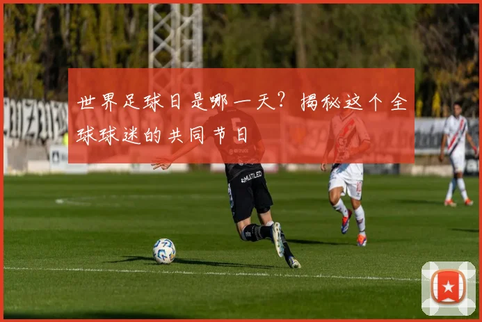 世界足球日是哪一天?揭秘这个全球球迷的共同节日